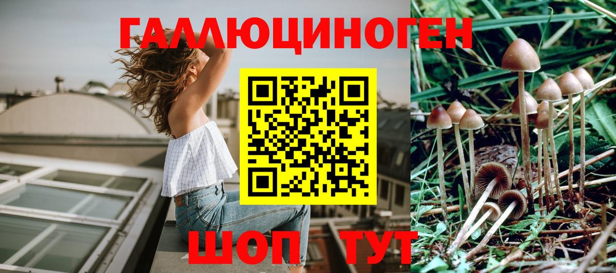 Великий Устюг  Галлюциногенные грибы Psilocybe  Вход с VPN 