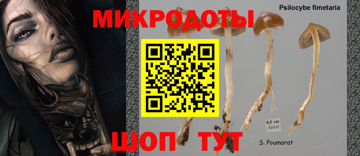 Псилоцибиновые грибы Magic Shrooms  Галлюциногенные грибы Psilocybine cubensis  Великий Устюг 
