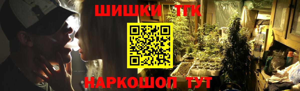 Бошки Шишки планчик Великий Устюг